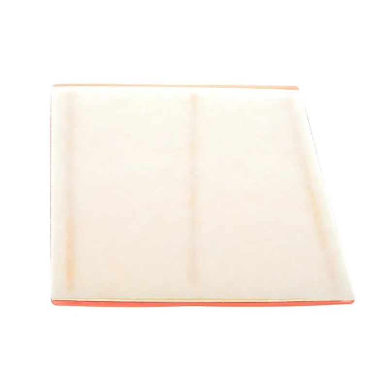 Фільтр повітряний WIX FILTERS WA9792 для BMW 1 (F40), 2 (F44/F46), X1 (F48) 1.5-2.0D 2014-