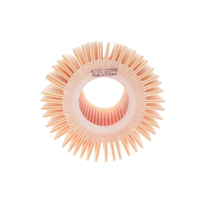 Фільтр масляний WIX FILTERS WL7453 для Lexus RX/NX, Toyota Rav 4, 67x70x29 мм