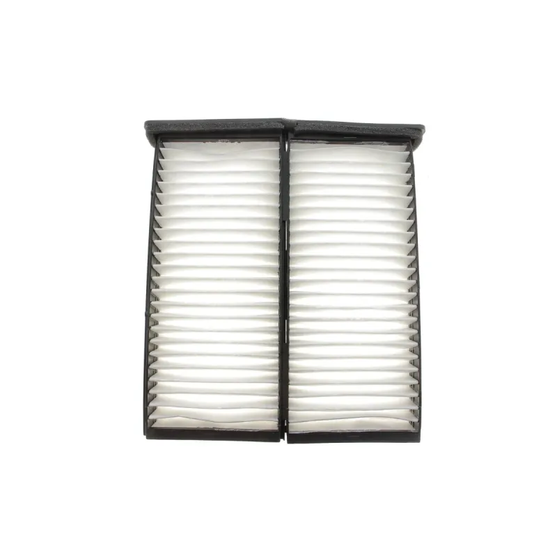 Фільтр салону WIX FILTERS WP9220 для Mitsubishi Carisma, Colt, Lancer, L200, Pajero Sport (комплект 2 шт.) 228x202x37 мм
