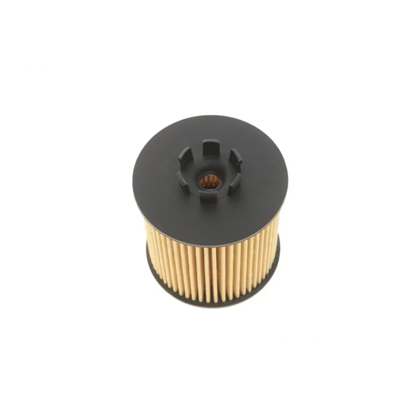 Фільтр масляний WUNDER FILTER WY 107 для Audi A3, VW Golf V, Passat 1.6 FSI