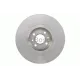 Диск гальмівний (передній) Renault Scenic 1.9/2.0/1.9dCi 03-09 (300х24) (вентильований)