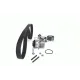 Комплект ГРМ + помпа VW Passat/Golf 2.0TDi 03- (30x141z)