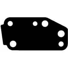 Прокладка помпи води Ford Transit 2.4 TDCI 00-06