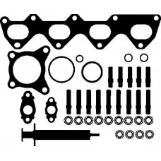 Комплект прокладок турбіни VW Golf V 1.4 TSI 07-15