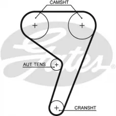 Ремінь ГРМ Ford Fiesta/Focus 1.4i/1.6 16V (117z) 98-