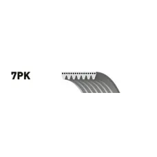 Ремінь генератора Land Rover/Toyota Land Cruiser 120 4.0i/4.6 94-