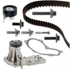 Комплект ГРМ + помпа Ford C-Max/Fiesta/Focus/Mondeo 1.25/1.4/1.6 05-/Volvo 1.6 07-12 (117x22)(PA990)