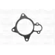 Помпа води Citroen Jumper/Peugeot Boxer 3.0HDi/Fiat Ducato 2.3D/3.0D/Iveco 06- (R/B) (7 лоп) (6 кан)