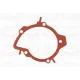 Помпа води Citroen C4/C5/C8/Jumpy/Fiat Scudo/Peugeot 308/407/Ford Focus 2.0HDI 06- (18z)(B/B)(24лоп)