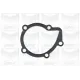 Помпа води Peugeot 205/305/309/405/Expert/Citroen Bx 1.6/1.9/1.9D 82-98 (20z) (B/B) (6 лоп)