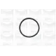 Помпа води BMW 3/5/7/X3/X5/Z3/Z4 2.0i/2.2i/2.5i/2.8i/3.0i 87-10 (R/B) (7 лоп.)
