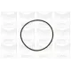 Помпа води Audi A4/A6/Skoda Felicia/VW Golf/Caddy/Passat/Polo 1.9D/TDI/SDI 95- (R/B)(6лоп)