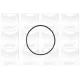 Помпа води Citroen Berlingo/C2/C3/C4/Peugeot 106/206/207/307/308/Partner 1.6 96- (19z) (B/B) (6 лоп)