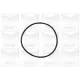 Помпа води Opel Astra G/Vectra B/C/Zafira A/Omega B 2.0DI/DTI/2.2DTI 96-06 (B/B) (8 лоп)