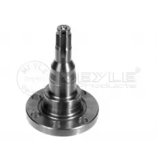 Кулак поворотний (цапфа) VW Passat 73-99 (задній)