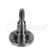 Кулак поворотний (цапфа) VW Passat 73-99 (задній)