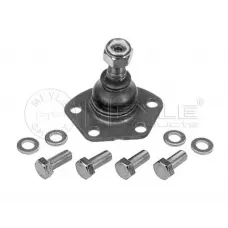 Опора кульова (передня/знизу) Fiat Ducato/Peugeot Boxer (1.8t) 02-06
