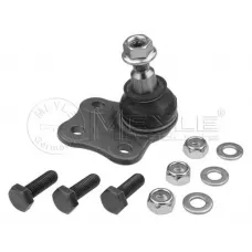Опора кульова (передня) Renault Fluence/Grand Scenic III/Megane III/Scenic III 08-