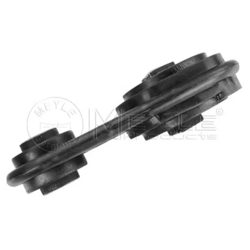 Подушка двигуна (нижня) Renault Megane II/Scenic II 1.9dCi 02- (косточка)