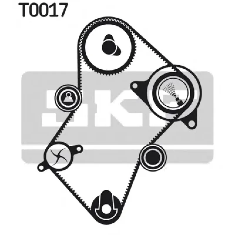 Комплект ГРМ + помпа Citroen Jumper/Jumpy/Berlingo 1.9D/TD 94-02