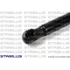 Амортизатор кришки багажника Seat Ibiza 02-09