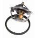 Термостат Citroen Jumper 94-02/Fiat Ducato 1.9TD 98-02 (83 °C)