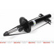 Амортизатор (передній) Citroen Jumper/Fiat Ducato/Peugeot Boxer 06- (1.1-1.5t) (B4)