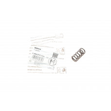 Пружинка ТНВД Renault/Iveco/VW/MAN