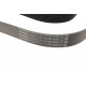 Ремінь генератора BMW 5 (F10/F11)/X3 (F25) 2.5/3.0i 09-13 (N52/N53) (8PK1786)
