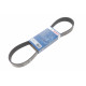 Ремінь генератора Land Rover Discovery 4.4 04-09/Range Rover 4.4 05-13 (8PK850)