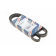 Ремінь генератора Renault Kangoo 1.4/1.6i 97- (5PK1750)