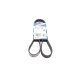 Ремінь генератора Citroen Jumper 2.0HDI (6PK1185)
