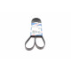 Ремінь генератора Peugeot Bipper/Expert/Partner 1.4/1.6HDI 07-/Ford Focus/Mondeo 2.0 18- (6PK1352)
