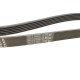 Ремінь генератора VW T5/Golf 2.3-3.2 V6 03-09/Audi A4/A6/Q5 2.0TDI 08-17 (6PK1264)