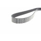 Ремень генератора Land Rover Discovery/Range Rover 2.5 Td5/3.9-4.6 93-04 (7PK1870)