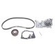 Комплект ГРМ + помпа Renault Kangoo/Logan I/Dacia Dokker 1.4/1.6 04- (17.3x96z)