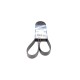Ремінь генератора MB Atego (OM904) 98-04 (8PK1376)