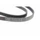 Ремінь генератора Skoda Fabia/VW Passat B6/B7 09-14/Citroen Berlingo/Peugeot 98- (6PK1698)