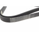 Ремінь генератора Land Rover Range Rover/Toyota Land Cruiser 120 4.0i/4.6 94-10 (7PK2120)