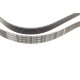 Ремінь генератора MB OM601/602 (6PK1980)