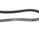Ремінь генератора Fiat Palio 1.6/ Honda Accord IV/V 2.0 96- (5PK955)