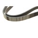 Ремінь генератора Citroen Jumper/Peugeot Boxer 3.0HDI (6PK1165)