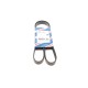 Ремінь генератора Ford Connect (-AC)/Opel Combo 1.2/1.4i -01 (6PK1460)