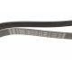 Ремінь генератора Fiat Scudo/Citroen Berlingo/VW Golf IV 1.8/1.9TDI 97- (6PK1660)