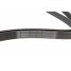 Ремінь генератора Hyundai Santa Fe/Kia Magentis 05-/Lexus GS 5.0 14-/MB (W202/W210) 93-02 (6PK2055)