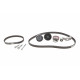 Комплект ГРМ VW Golf IV /Lupo 1.4 16V 97-05 (17x58z)