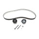Комплект ГРМ Citroen C5/C6/C8//Peugeot 407 2.2HDI 06-/Ford Galaxy/Mondeo 2.2TDCi 08-15 (25.4x118z)