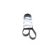 Ремінь генератора Fiat Doblo 1.3D Multijet/1.3JTD/Ford Focus 1.8/2.0 04- (6PK1306)
