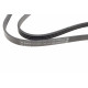 Ремінь генератора Renault Clio 1.2/1.4 90-98/Nissan Micra/Note 1.0-1.4 03-12 (4PK1075)