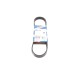 Ремінь генератора Citroen Berlingo/Fiat Ducato/Peugeot Boxer/Expert 1.9 D/TD 96-03 (6PK730)
